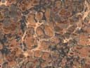 Prodotto carta marmorizzata Marmo MR-010